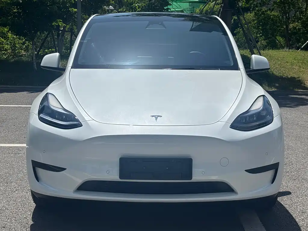 Model Y 2023 rear-wheel drive version купить на сайте DeffCars