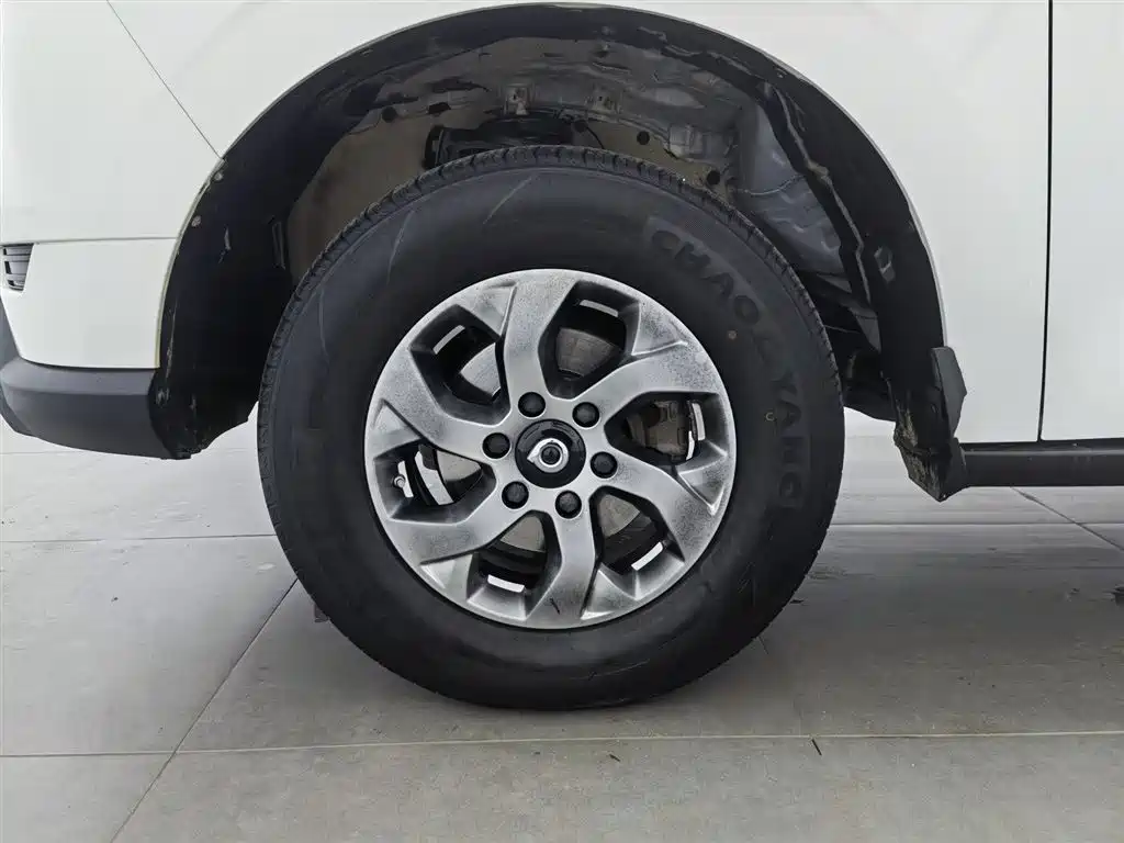 Cannon 2021 2.0T commercial version automatic diesel two-wheel drive elite long box GW4D20M купить на сайте DeffCars