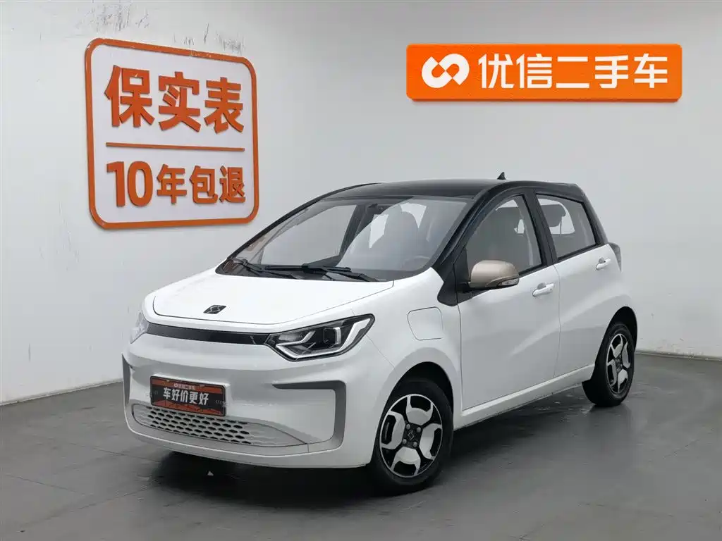 Flower Fairy 2022 Flower Fairy Style Gypsophila купить на сайте DeffCars