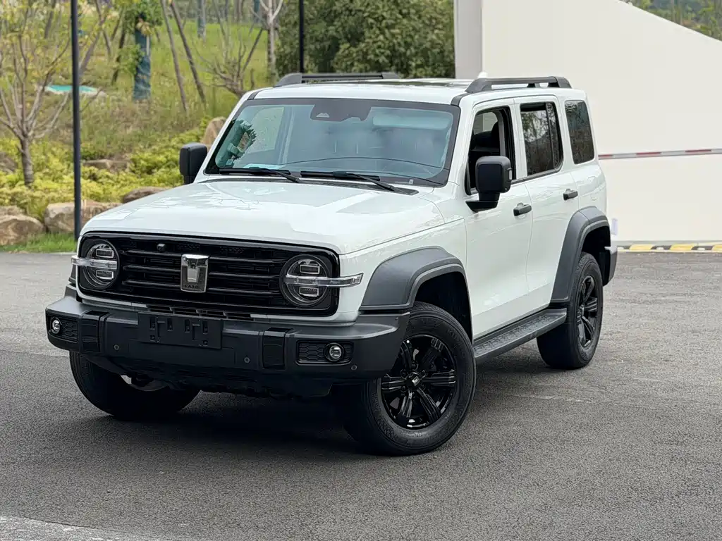 TANK 300 2021 off-road version 2.0T Conqueror купить на сайте DeffCars
