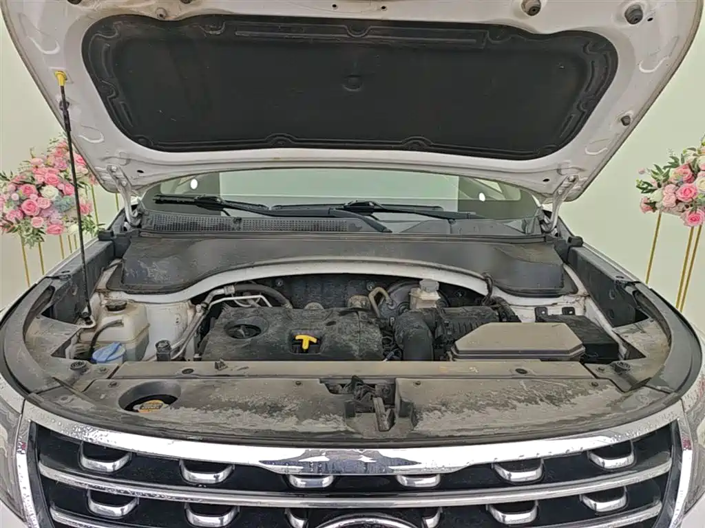 Zhipao 2019 2.0L Automatic Smart Enjoy Deluxe Edition купить на сайте DeffCars
