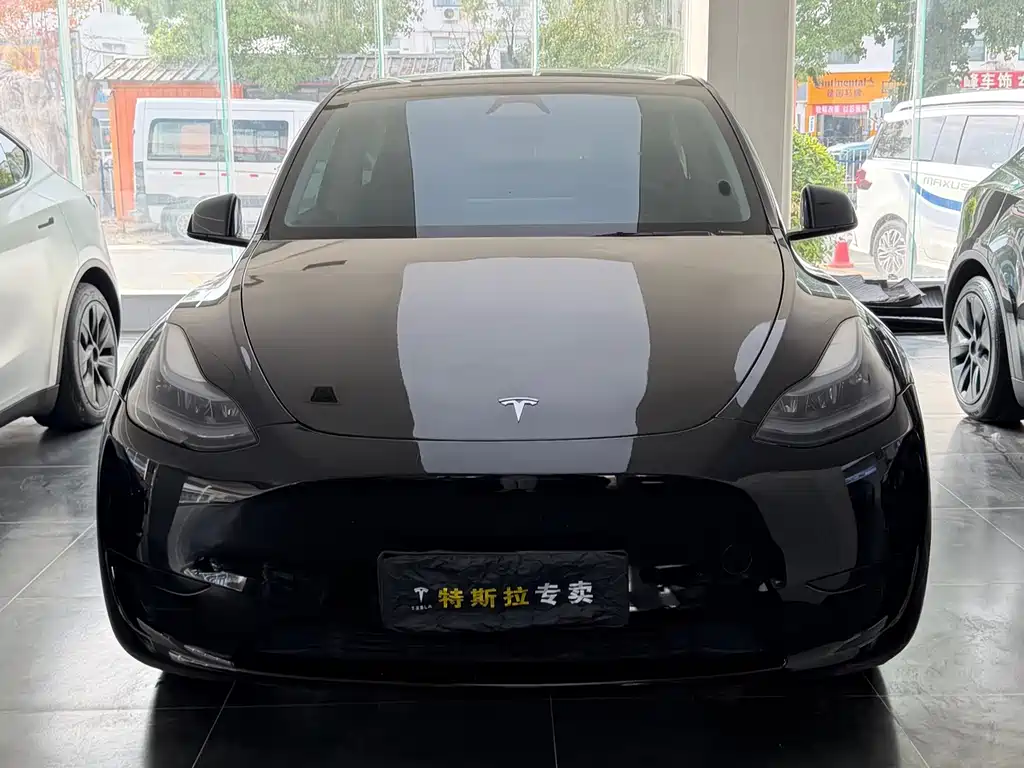 Model Y 2024 rear-wheel drive version купить на сайте DeffCars