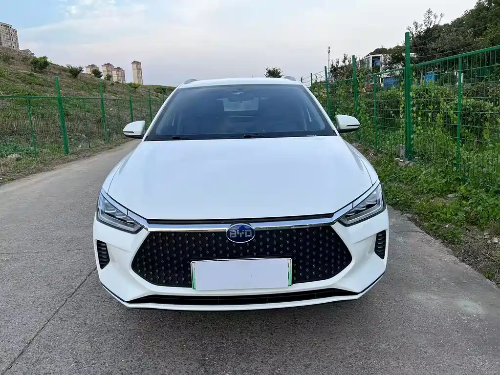 BYD e2 2020 upgraded version high endurance version premium model купить на сайте DeffCars