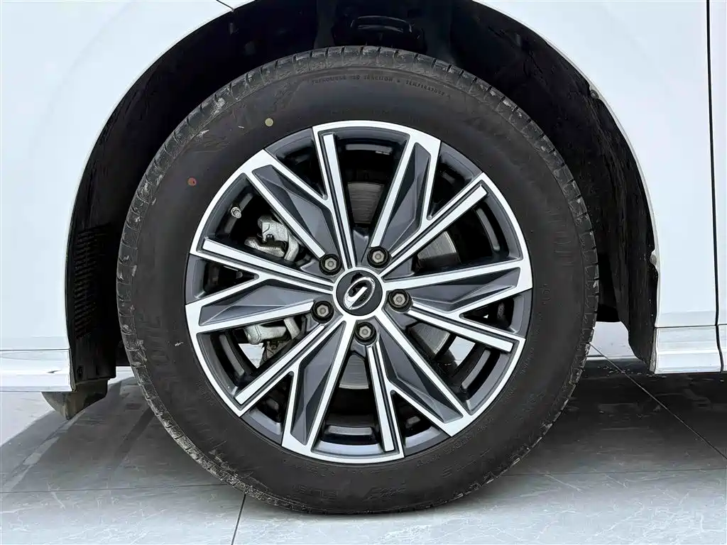 Trumpchi M8 2024 Lead Show Series 390T Exclusive Edition купить на сайте DeffCars
