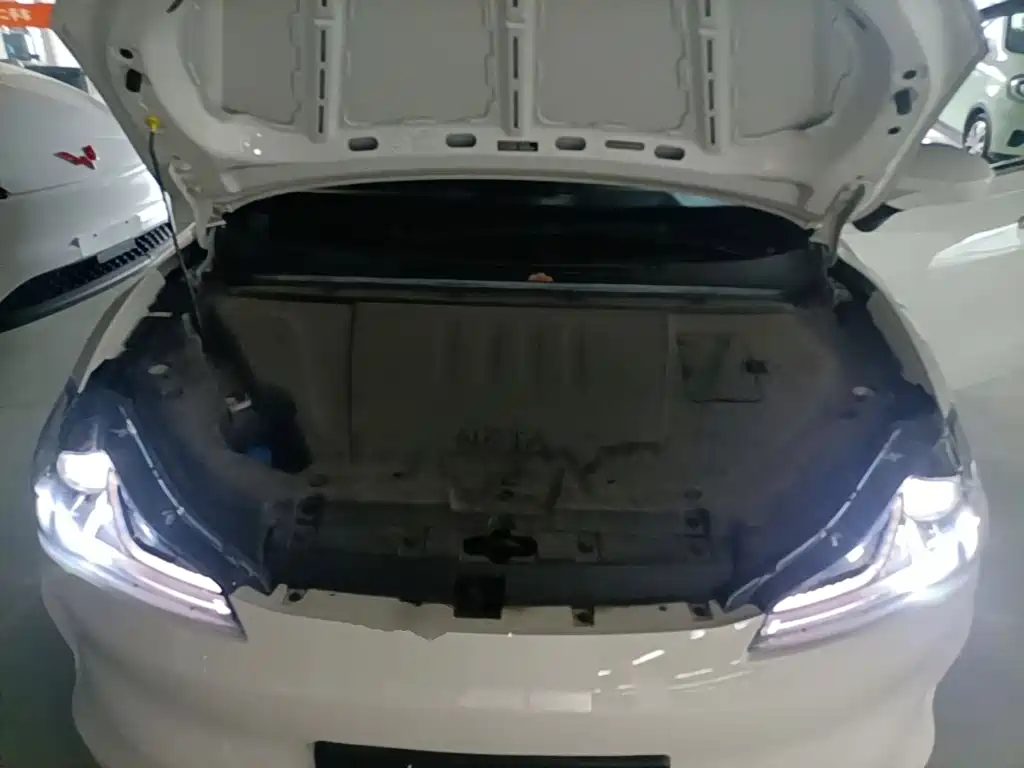 V 2021 Long Range Industry Customized Edition купить на сайте DeffCars