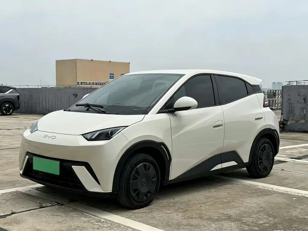 Seagull 2024 Honor Edition 305km Vitality Edition купить на сайте DeffCars