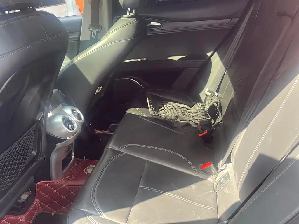 Stelvio 2017 2.0T 200HP Deluxe Edition купить на сайте DeffCars