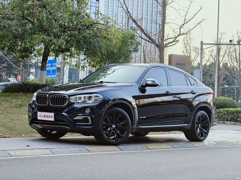 BMW X6 2015 xDrive35i leading model купить на сайте DeffCars