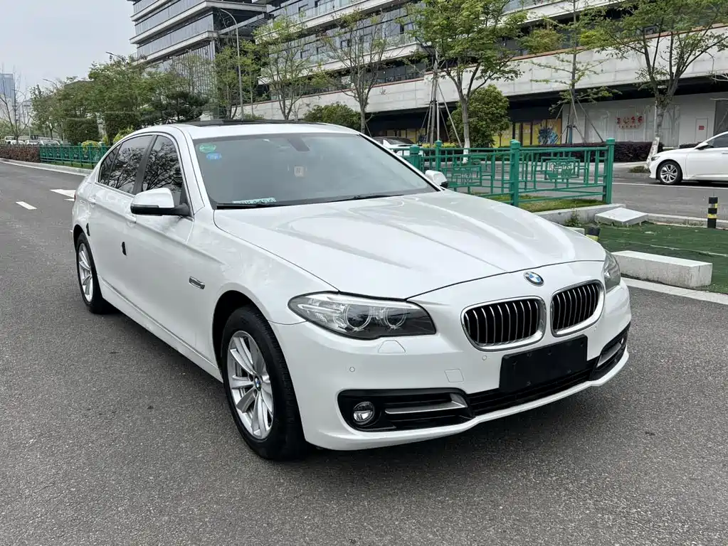 BMW 5 Series 2017 520Li Elegant купить на сайте DeffCars