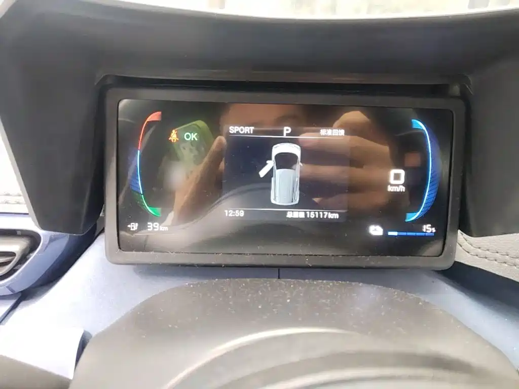 Seagull 2025 305km active version купить на сайте DeffCars