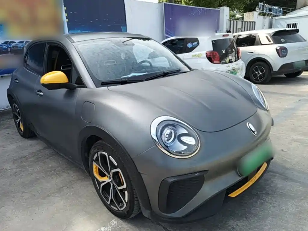 Euler Good Cat GT 2023 Mulan Edition 401km Premium Type купить на сайте DeffCars