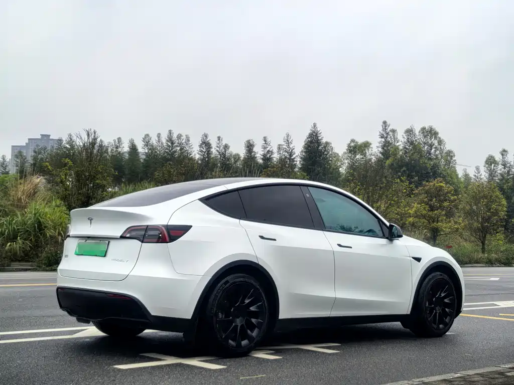 Model Y 2022 facelift rear-wheel drive version купить на сайте DeffCars