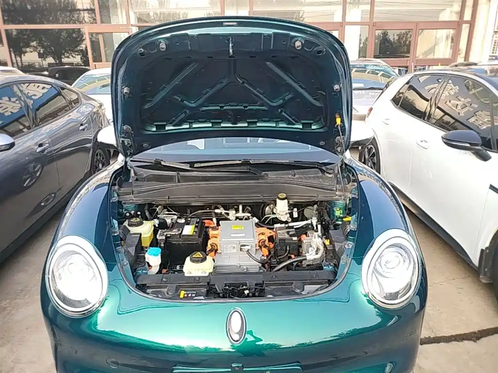 Euler Good Cat 2021 model 400km standard battery life Venus version ternary lithium купить на сайте DeffCars