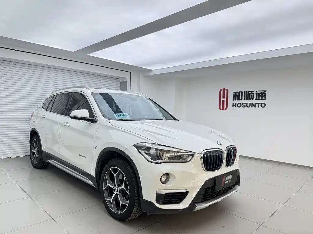BMW X1 New Energy 2018 xDrive25Le Luxury Model купить на сайте DeffCars