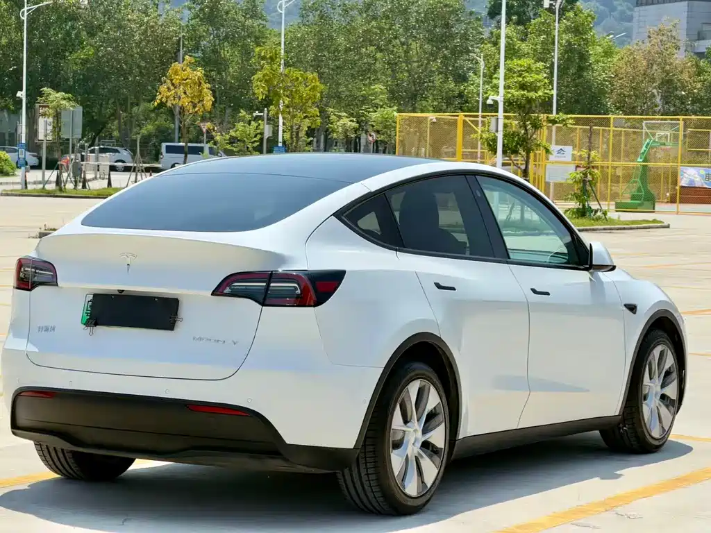 Model Y 2021 standard range rear-wheel drive version купить на сайте DeffCars
