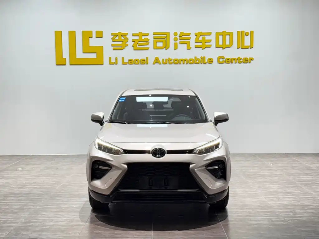 Wilanda 2020 2.0L CVT two-wheel drive luxury version купить на сайте DeffCars