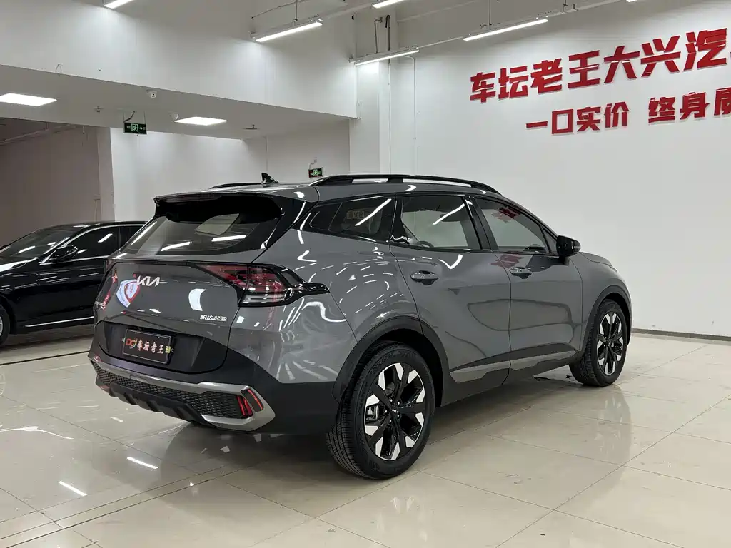 Lion Platinum Extends the World 2023 2.0T Two-wheel Drive Premium Edition купить на сайте DeffCars