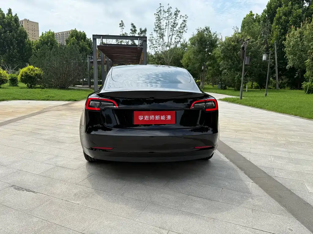 Model 3 2022 rear-wheel drive version купить на сайте DeffCars