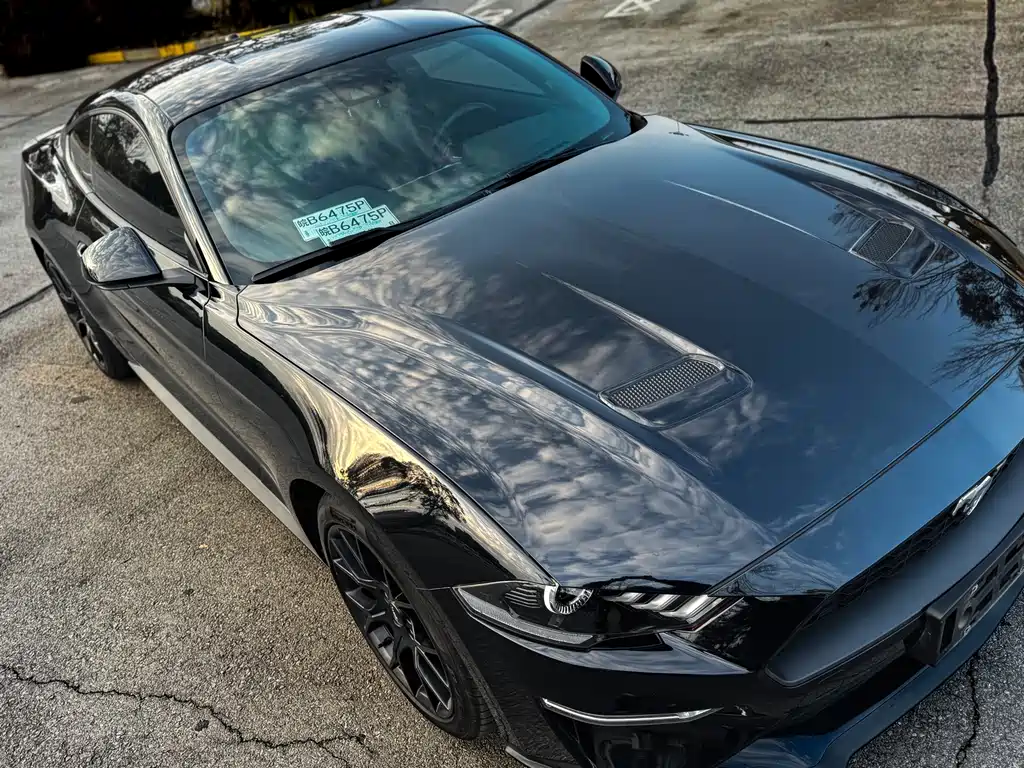 Mustang 2019 2.3L EcoBoost купить на сайте DeffCars