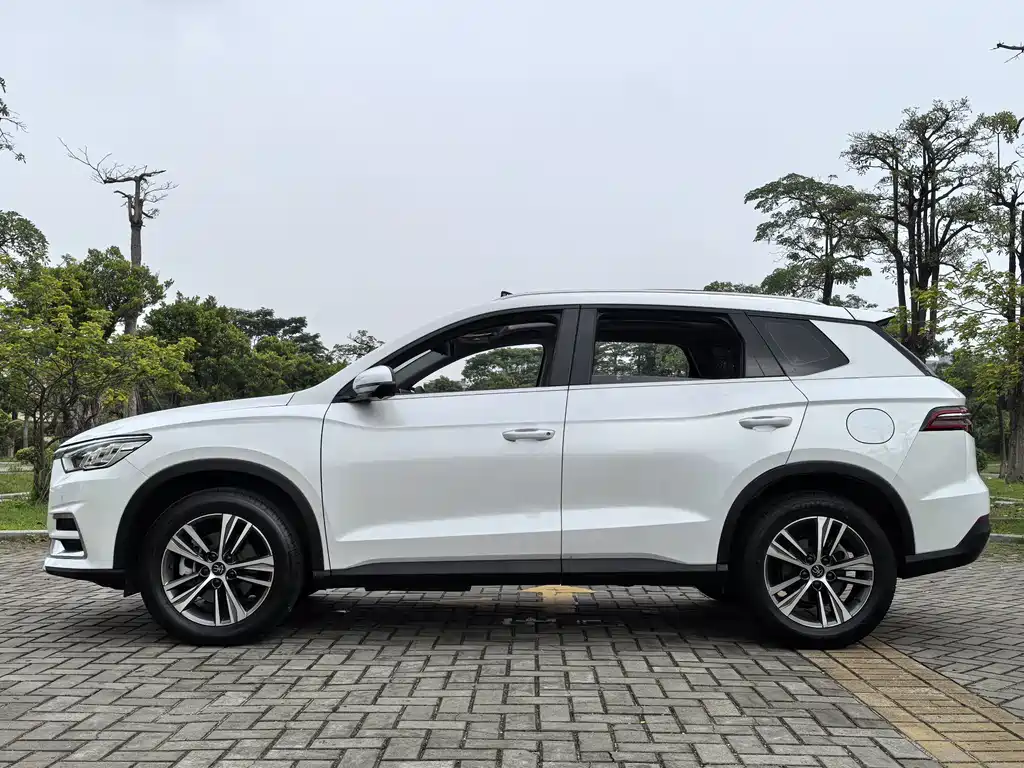 Song Pro 2019 1.5T automatic luxury model купить на сайте DeffCars