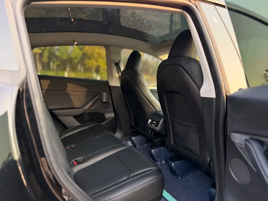 Model Y 2023 rear-wheel drive version купить на сайте DeffCars