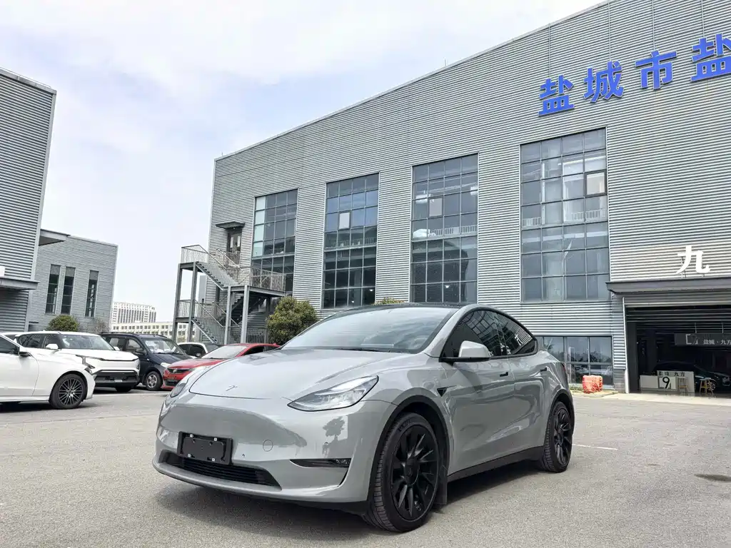 Model Y 2021 standard range rear-wheel drive version купить на сайте DeffCars
