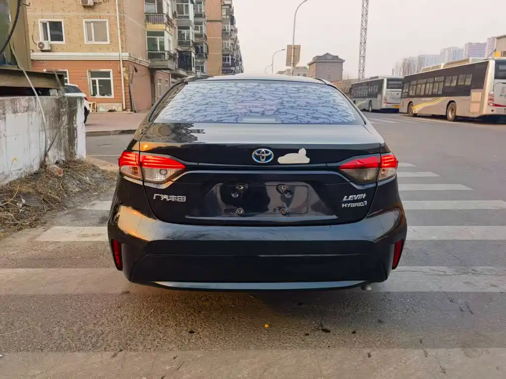 Ralink 2019 Dual Engine 1.8H E-CVT Deluxe Edition National V купить на сайте DeffCars