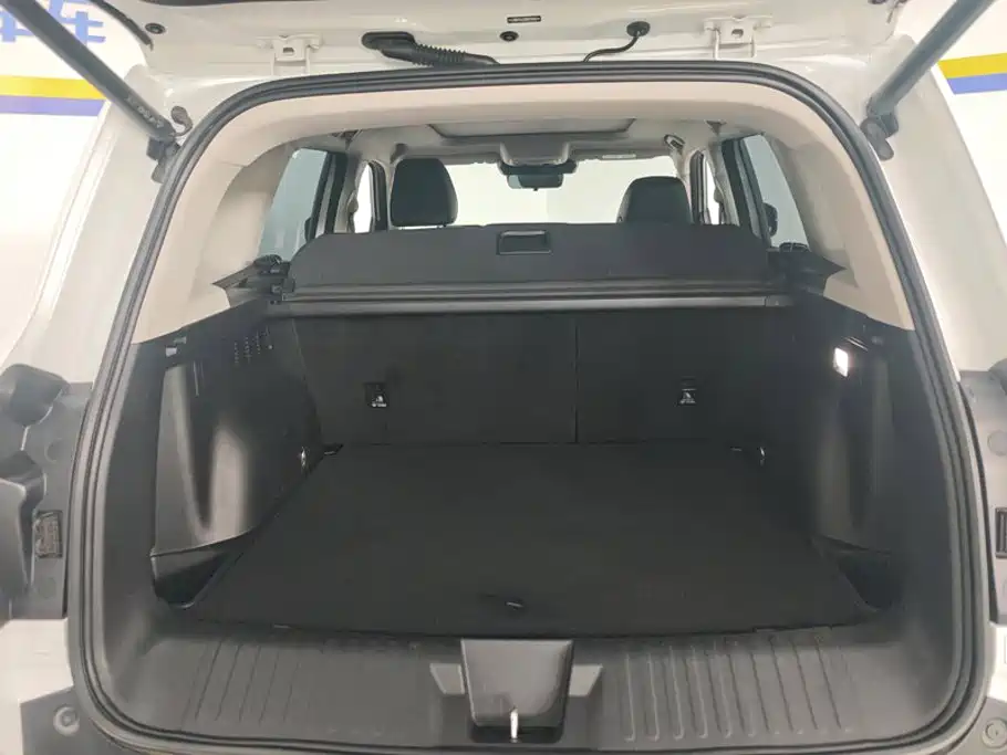 Haval Big Dog 2021 1.5T DCT two-wheel drive Border Collie version купить на сайте DeffCars