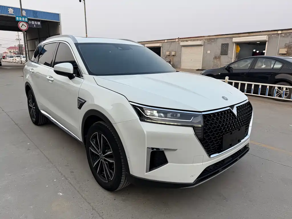 Venucia 2021 260T automatic 48V mild hybrid supercharged Xingyao version купить на сайте DeffCars