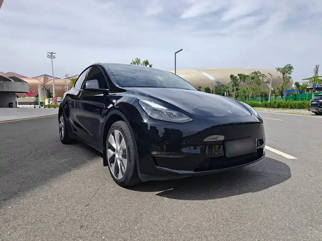 Model Y 2022 long-range all-wheel drive version купить на сайте DeffCars