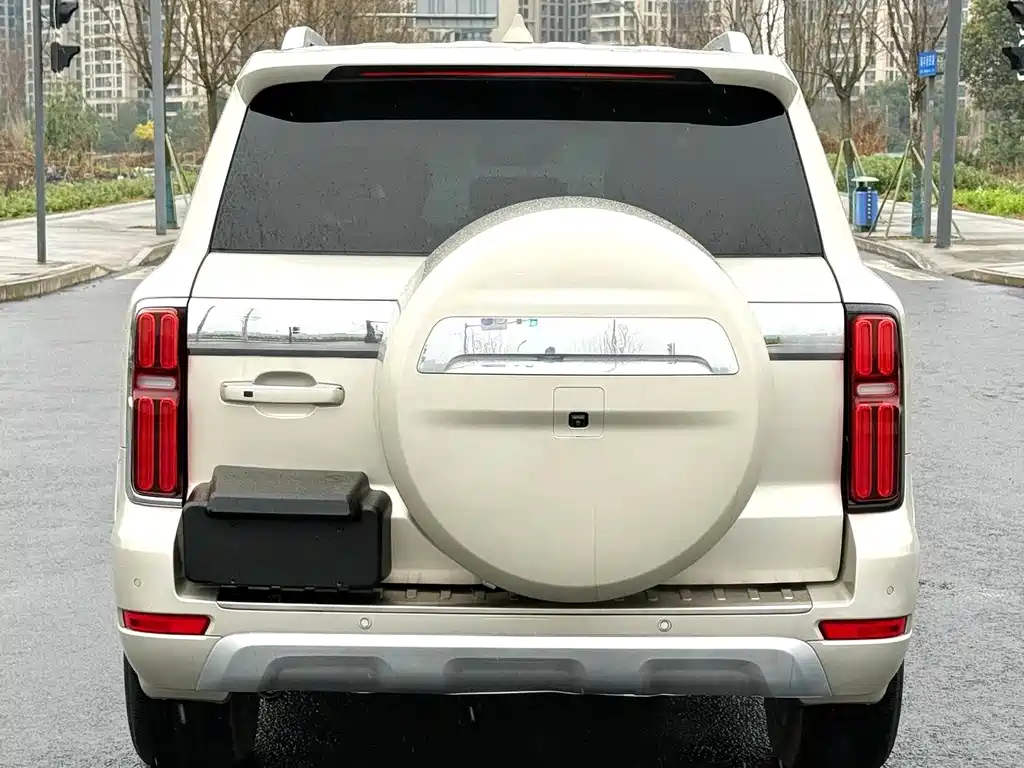 Tank 500 2022 model 3.0T sports version, environment type, 5 seats купить на сайте DeffCars