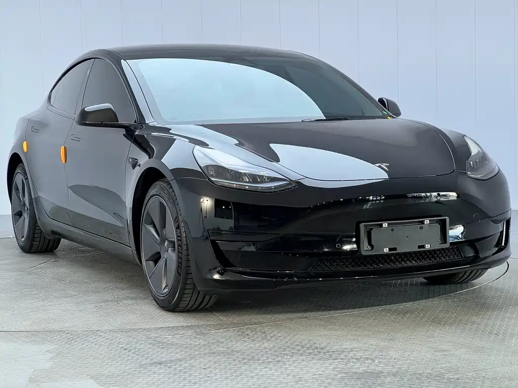 Model 3 2022 rear-wheel drive version купить на сайте DeffCars
