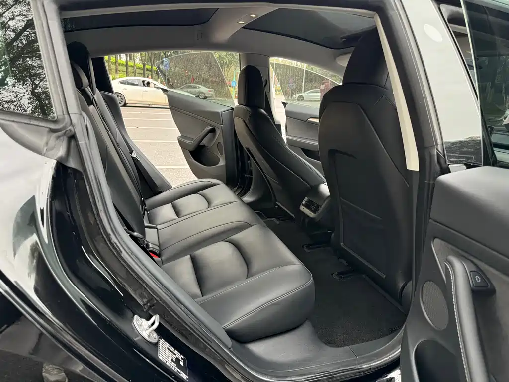 Model 3 2022 rear-wheel drive version купить на сайте DeffCars