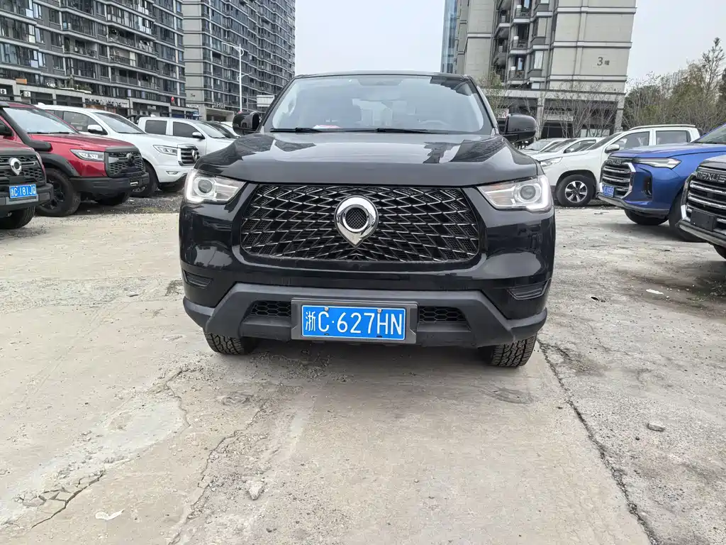 Cannon 2021 2.0T commercial version automatic diesel four-wheel drive elite standard box GW4D20M купить на сайте DeffCars