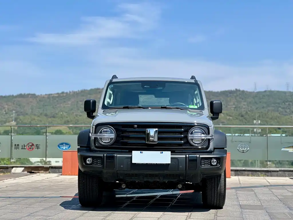Tank 300 2025 2.4T diesel version купить на сайте DeffCars