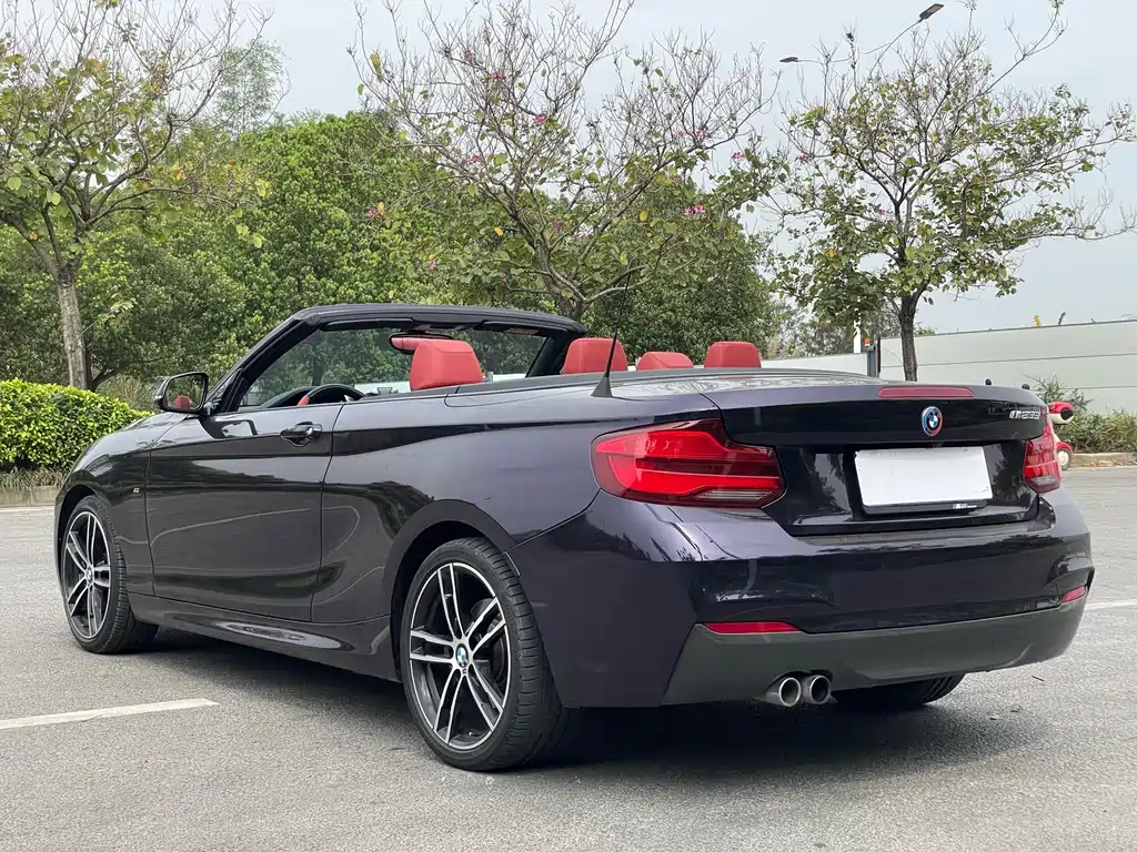 BMW 2 Series Imported 2019 225i Convertible Coupe Exclusive M Sports Package купить на сайте DeffCars