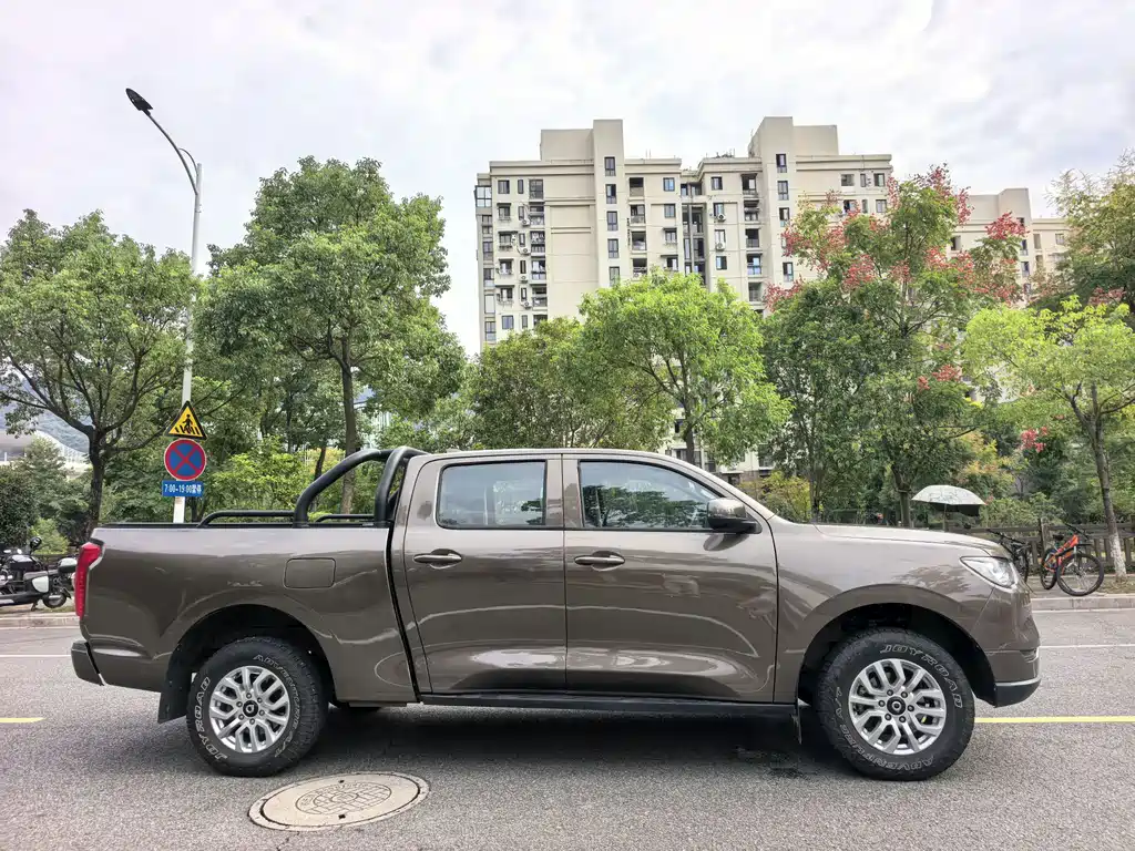 Cannon (Poer) 2019 2.0T Commercial Automatic Gasoline 2WD Elite Long Case GW4C20B купить на сайте DeffCars