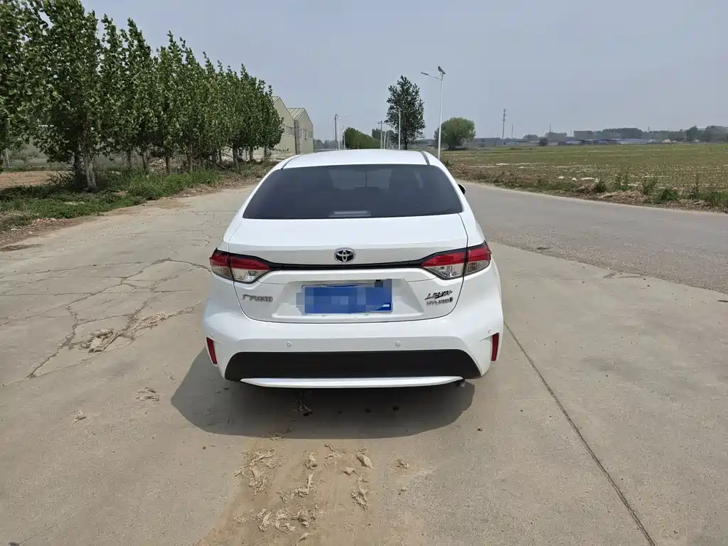 Ralink 2022 Dual Engine 1.8H E-CVT Advanced Edition купить на сайте DeffCars