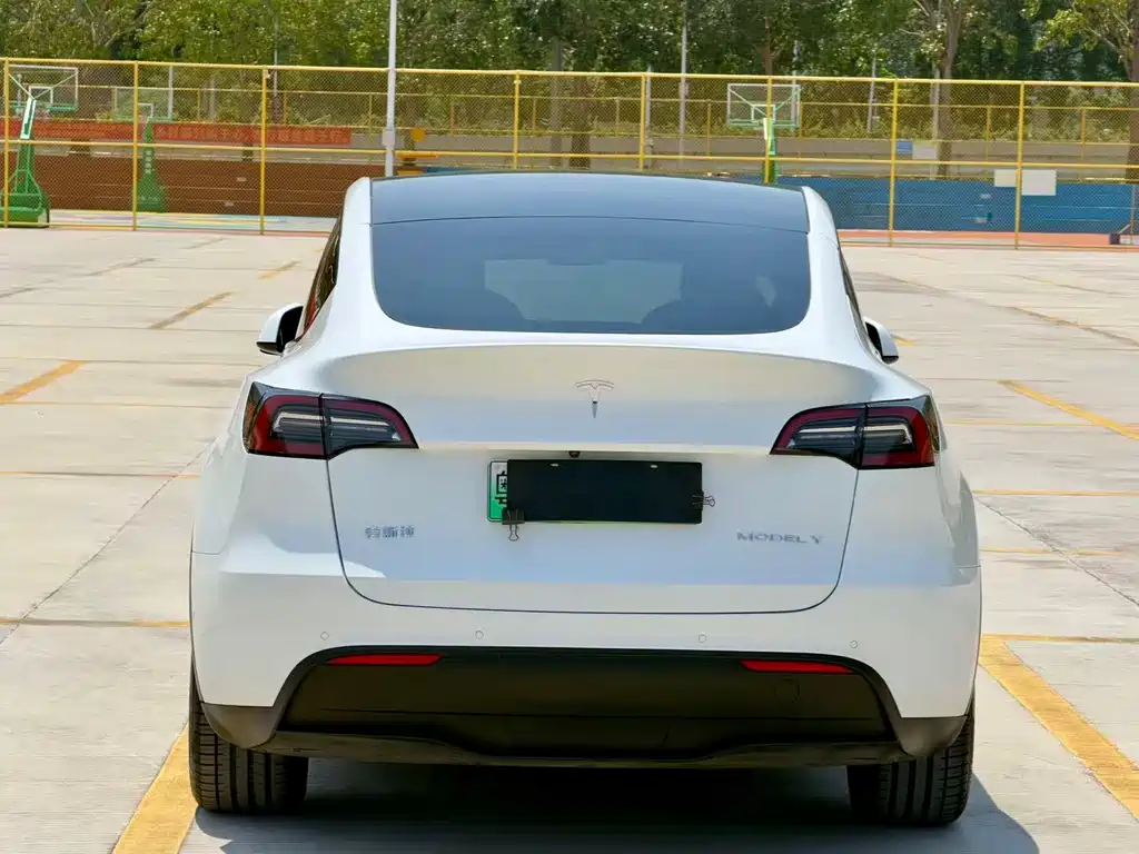 Model Y 2021 standard range rear-wheel drive version купить на сайте DeffCars