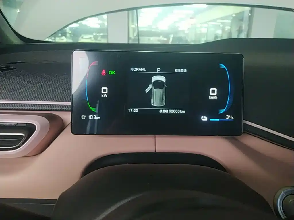 Seagull 2025 model 305km free version купить на сайте DeffCars