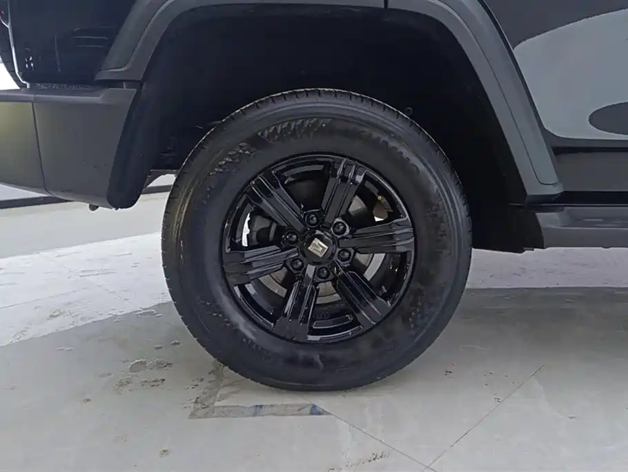 Tank 300 2021 Off-Road Version 2.0T Conqueror купить на сайте DeffCars