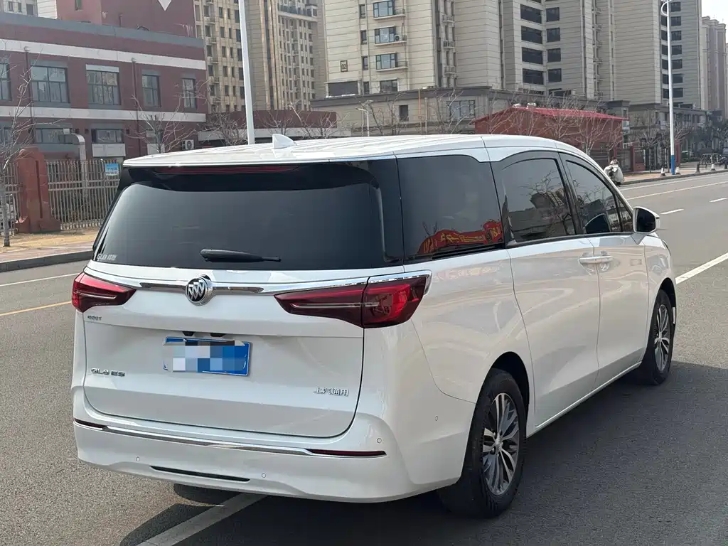 Buick GL8 2021 ES Lu Zun 653T Exclusive model купить на сайте DeffCars