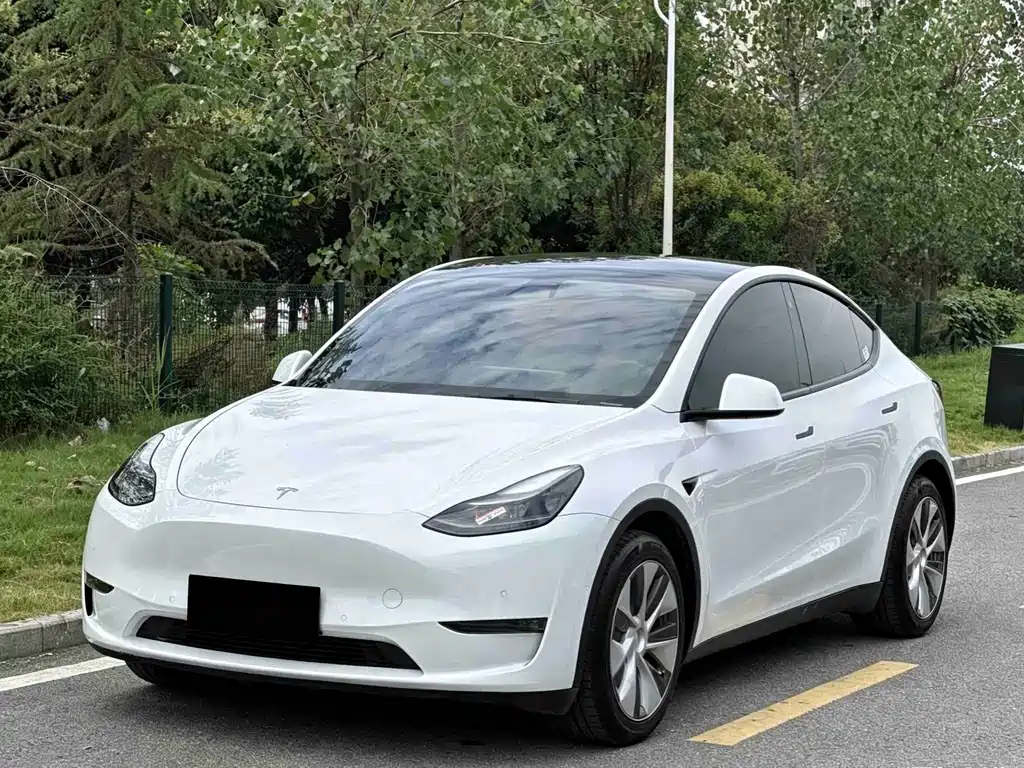 Model Y 2021 standard range rear-wheel drive version купить на сайте DeffCars