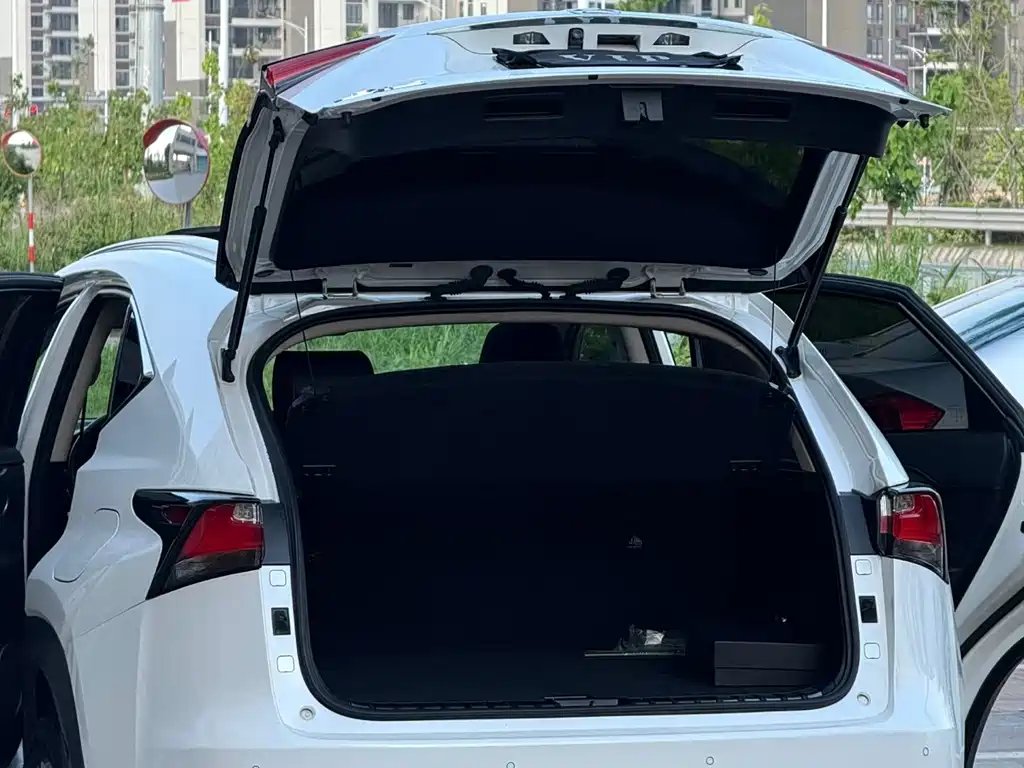 Lexus NX 2015 200t AWD Advanced Edition купить на сайте DeffCars