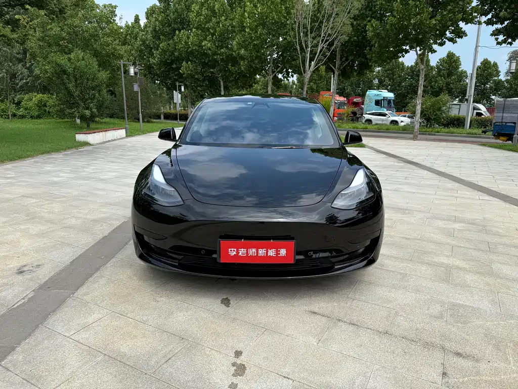Model 3 2022 rear-wheel drive version купить на сайте DeffCars