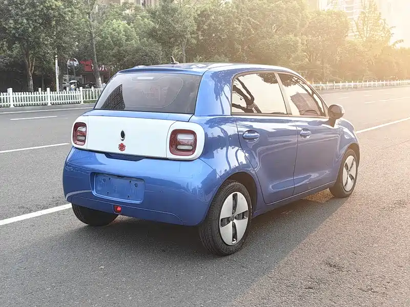 Euler Black Cat 2019 351km parent-child version купить на сайте DeffCars