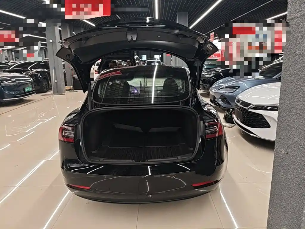 Model 3 2022 rear-wheel drive купить на сайте DeffCars