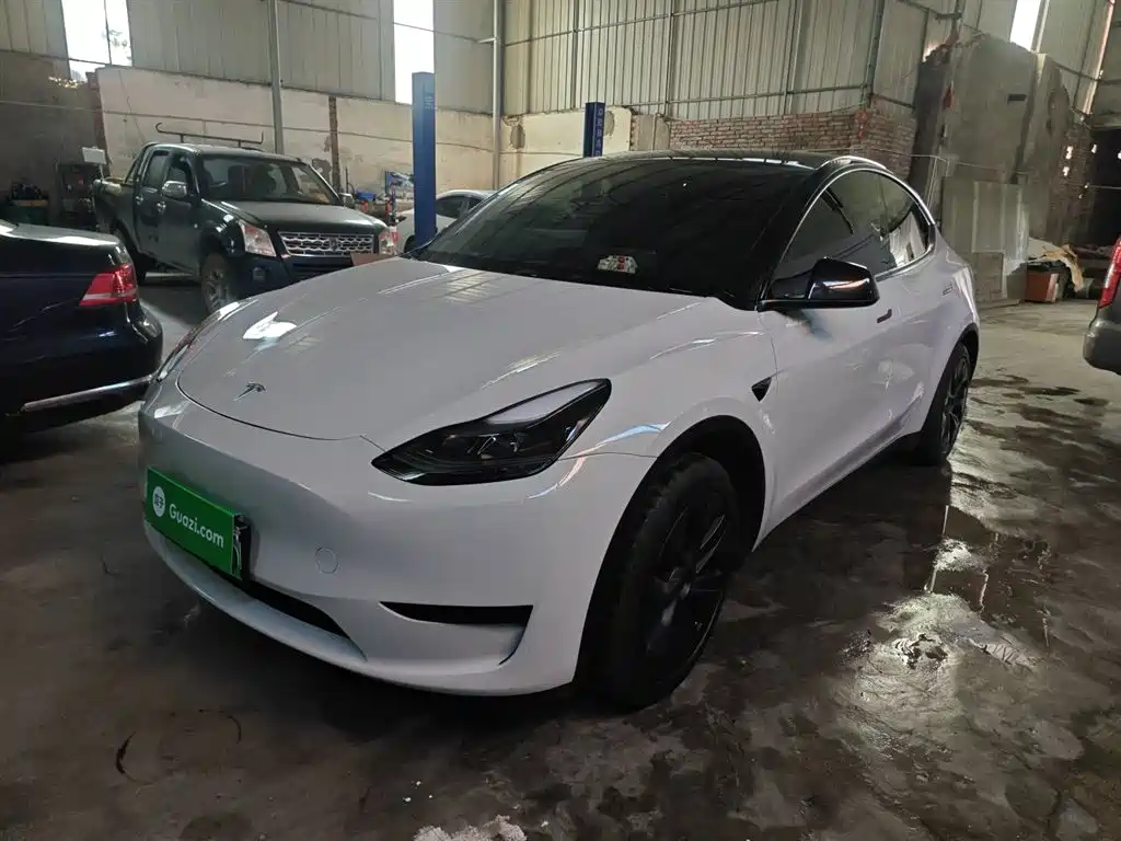 Model Y 2024 rear-wheel drive version купить на сайте DeffCars