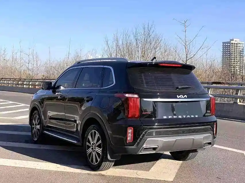 Zhipao 2021 Ace 2.0L Wonderful Edition купить на сайте DeffCars
