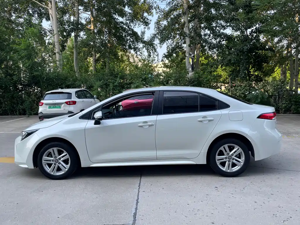 Ralink 2019 185T CVT Deluxe Edition National V купить на сайте DeffCars